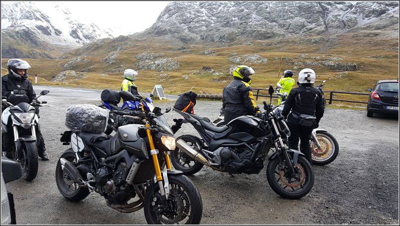 Gavia (11)
